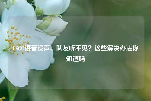 CSGO语音没声、队友听不见？这些解决办法你知道吗