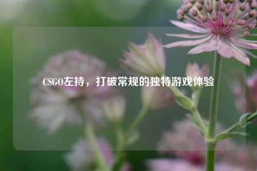 CSGO左持，打破常规的独特游戏体验