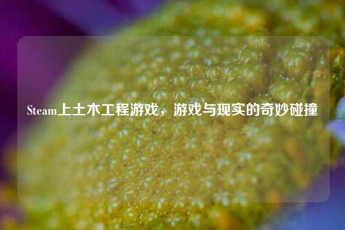Steam上土木工程游戏，游戏与现实的奇妙碰撞