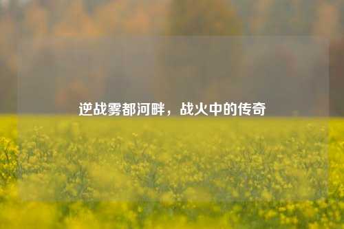 逆战雾都河畔，战火中的传奇