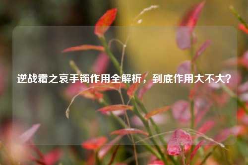 逆战霜之哀手镯作用全解析，到底作用大不大？