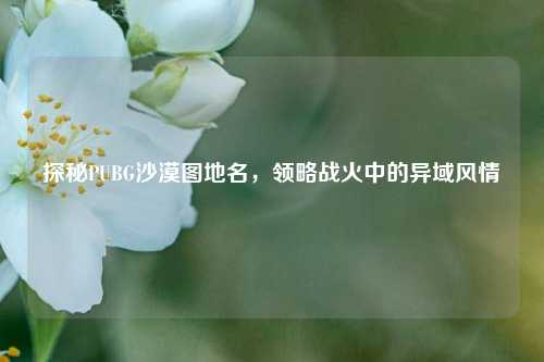 探秘PUBG沙漠图地名，领略战火中的异域风情