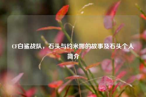 CF白鲨战队，石头与约米娜的故事及石头个人简介