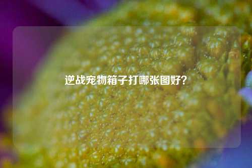 逆战宠物箱子打哪张图好？