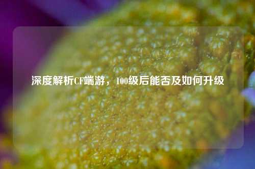 深度解析CF端游，100级后能否及如何升级