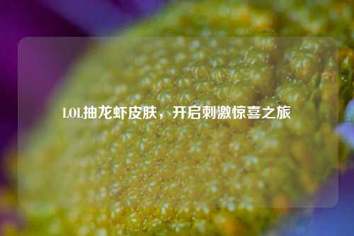 LOL抽龙虾皮肤，开启刺激惊喜之旅