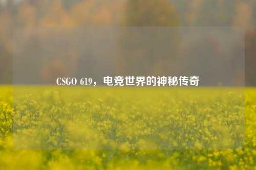 CSGO 619，电竞世界的神秘传奇