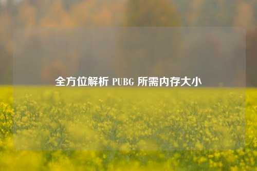 全方位解析 PUBG 所需内存大小