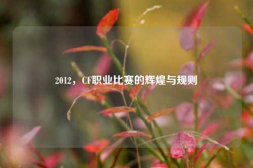 2012，CF职业比赛的辉煌与规则