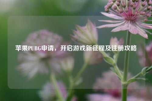 苹果PUBG申请，开启游戏新征程及注册攻略