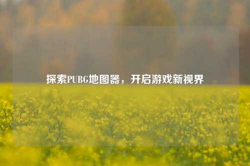 探索PUBG地图器，开启游戏新视界