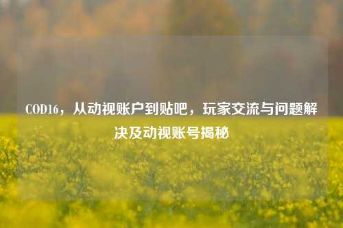 COD16，从动视账户到贴吧，玩家交流与问题解决及动视账号揭秘