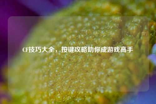 CF技巧大全，按键攻略助你成游戏高手
