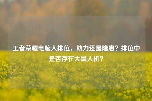 王者荣耀电脑人排位，助力还是隐患？排位中是否存在大量人机？