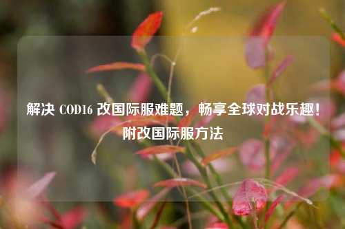解决 COD16 改国际服难题，畅享全球对战乐趣！附改国际服方法