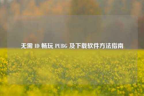 无需 ID 畅玩 PUBG 及下载软件方法指南