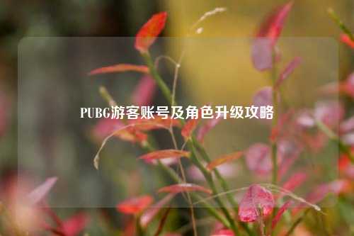 PUBG游客账号及角色升级攻略