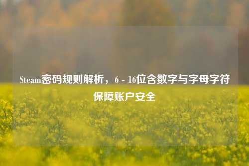 Steam密码规则解析，6 - 16位含数字与字母字符保障账户安全