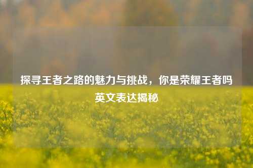 探寻王者之路的魅力与挑战，你是荣耀王者吗英文表达揭秘