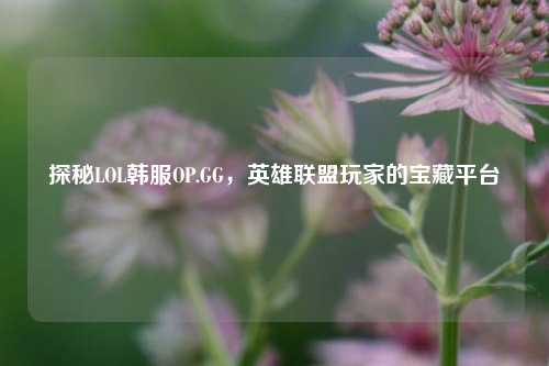 探秘LOL韩服OP.GG，英雄联盟玩家的宝藏平台