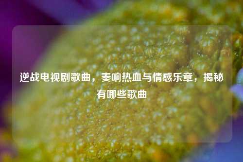 逆战电视剧歌曲，奏响热血与情感乐章，揭秘有哪些歌曲