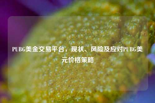 PUBG美金交易平台，现状、风险及应对PUBG美元价格策略