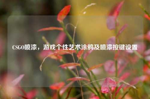 CSGO喷漆，游戏个性艺术涂鸦及喷漆按键设置