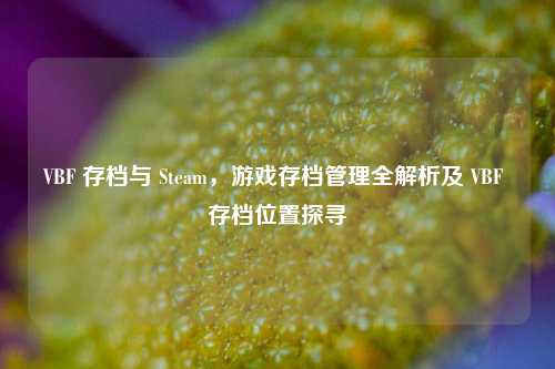VBF 存档与 Steam，游戏存档管理全解析及 VBF 存档位置探寻