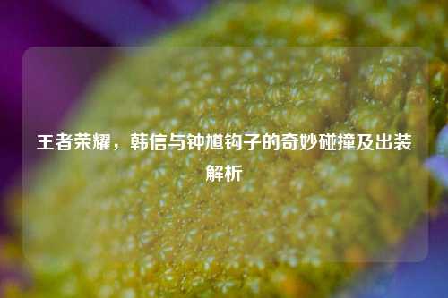 王者荣耀，韩信与钟馗钩子的奇妙碰撞及出装解析