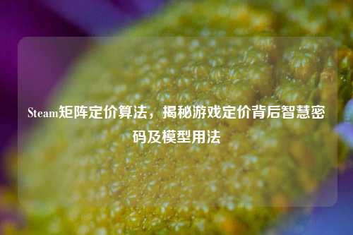 Steam矩阵定价算法，揭秘游戏定价背后智慧密码及模型用法