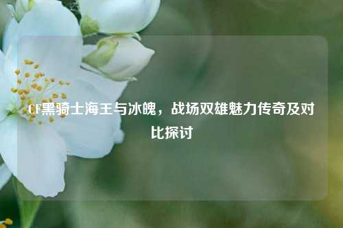 CF黑骑士海王与冰魄，战场双雄魅力传奇及对比探讨