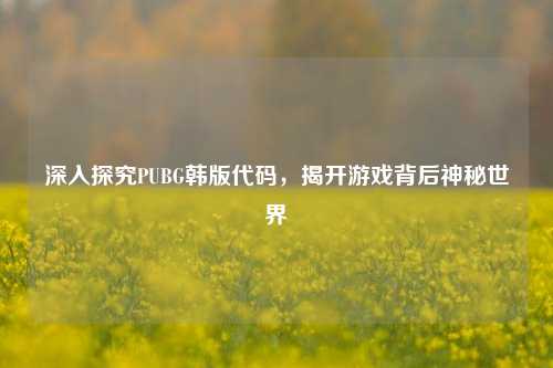 深入探究PUBG韩版代码，揭开游戏背后神秘世界