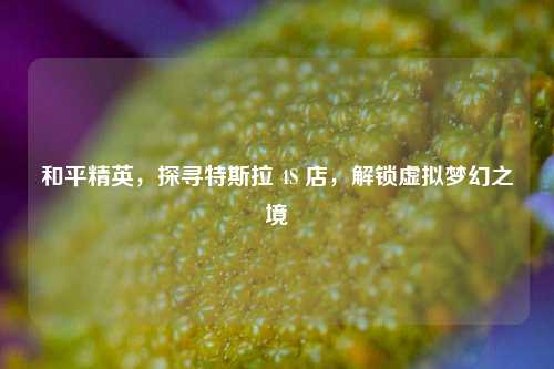 和平精英，探寻特斯拉 4S 店，解锁虚拟梦幻之境