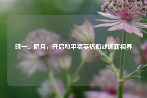 晓一、晓月，开启和平精英热血战场新视界