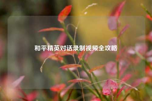 和平精英对话录制视频全攻略