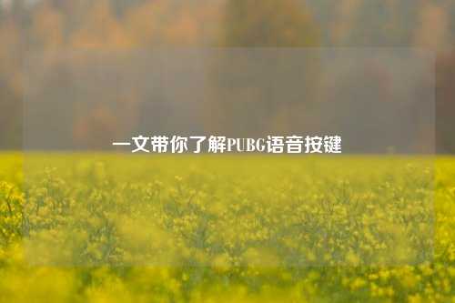 一文带你了解PUBG语音按键