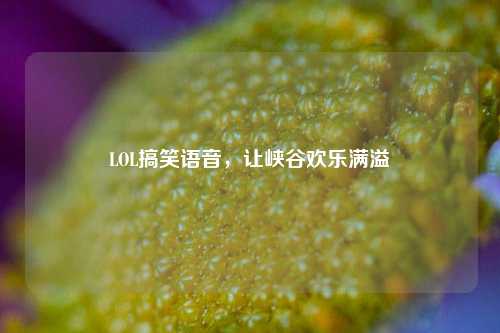 LOL搞笑语音，让峡谷欢乐满溢