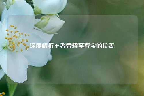 深度解析王者荣耀至尊宝的位置