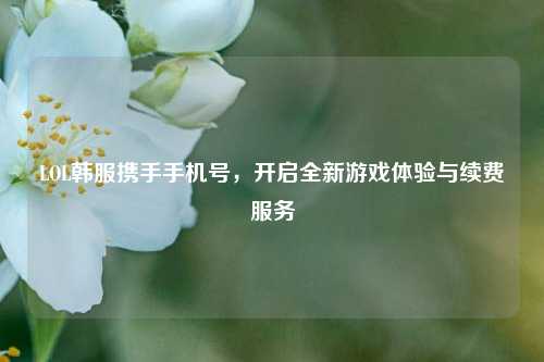 LOL韩服携手手机号，开启全新游戏体验与续费服务