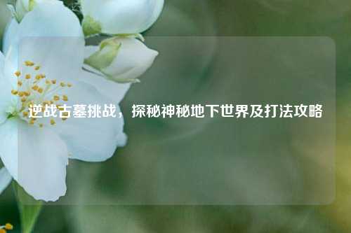 逆战古墓挑战，探秘神秘地下世界及打法攻略