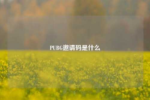 PUBG邀请码是什么