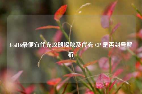 Cod16最便宜代充攻略揭秘及代充 CP 是否封号解析