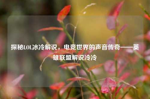 探秘LOL冰冷解说，电竞世界的声音传奇——英雄联盟解说冷冷