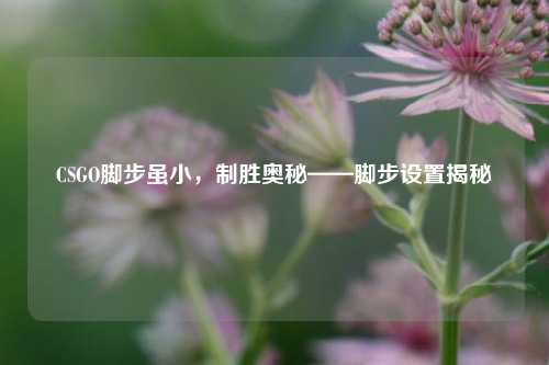 CSGO脚步虽小，制胜奥秘——脚步设置揭秘