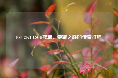 ESL 2021 CSGO冠军，荣耀之巅的传奇征程
