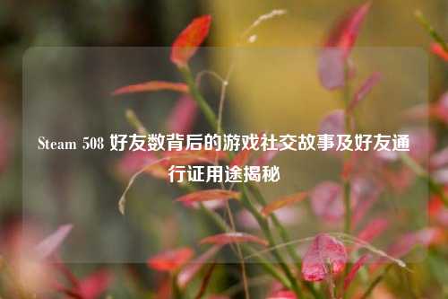 Steam 508 好友数背后的游戏社交故事及好友通行证用途揭秘