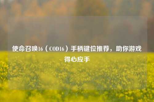 使命召唤16（COD16）手柄键位推荐，助你游戏得心应手