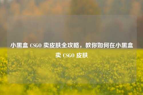小黑盒 CSGO 卖皮肤全攻略，教你如何在小黑盒卖 CSGO 皮肤