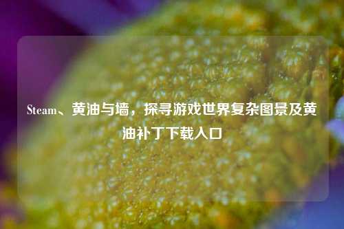 Steam、黄油与墙，探寻游戏世界复杂图景及黄油补丁下载入口