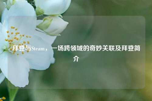 拜登与Steam，一场跨领域的奇妙关联及拜登简介